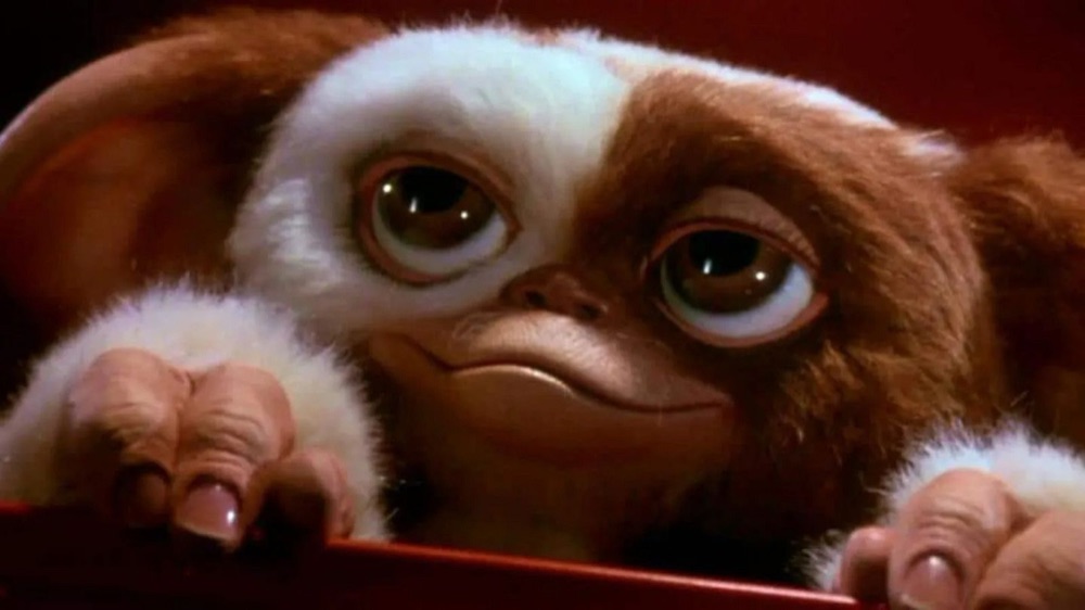 Idea de disfraz: Gizmo, de Gremlins