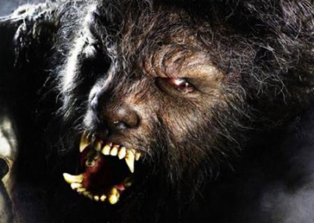 Idea de disfraz: Hombre lobo